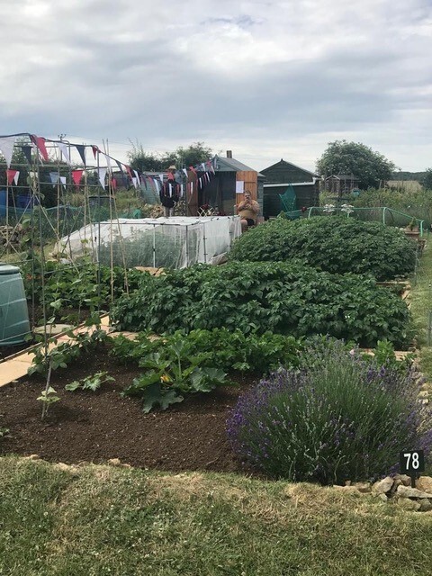 Allotment Summer 2022 19